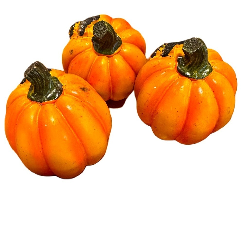 Pumpkin Fall Home Decor Set 3 - Picture 3 of 5